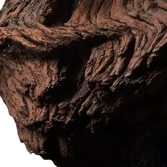 Wood