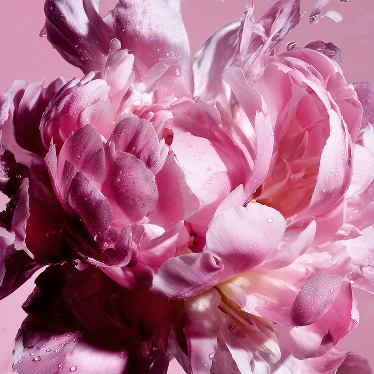 Viktor & Rolf perfume with flowers