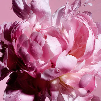 Viktor & Rolf perfume with flowers
