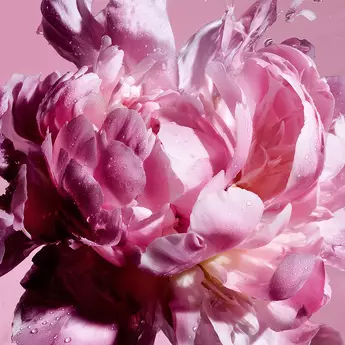 Viktor & Rolf perfume with flowers