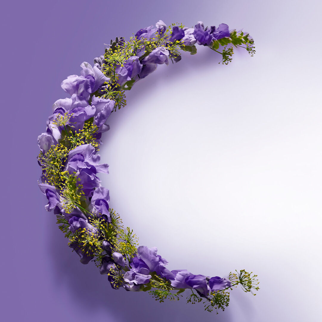 Moon shaped fennel & gentian flower