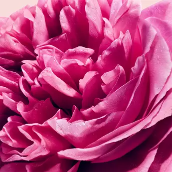 Viktor & Rolf perfume with flowers