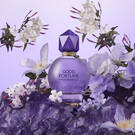 Viktor&Rolf Fragrances, Colognes and Perfumes