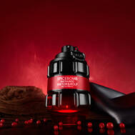 Spicebomb Fragrance Collection | Viktor & Rolf Official Site